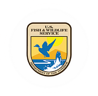 U.S Fish & Wildlife Service