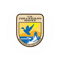 U.S Fish & Wildlife Service